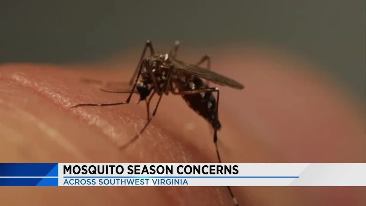 Mosquito season is here, what to know about Zika Virus this...